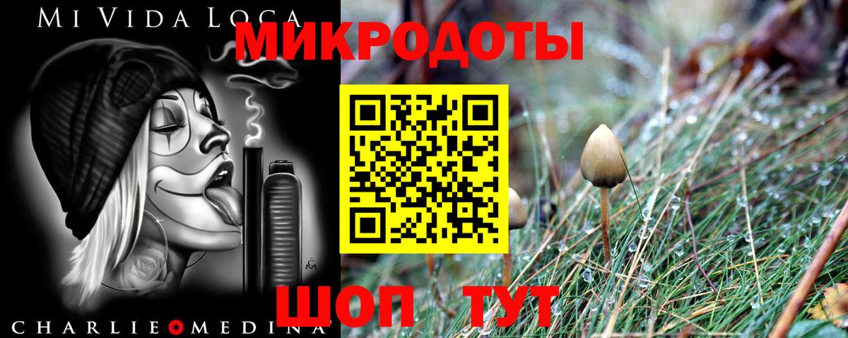 Горно-Алтайск  где можно купить наркотик  Галлюциногенные грибы GOLDEN TEACHER  Вход с VPN  Галлюциногенные грибы прущие грибы 