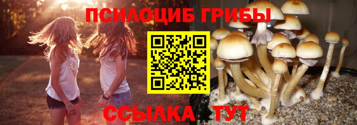 Псилоцибиновые грибы MAGIC MUSHROOMS Горно-Алтайск